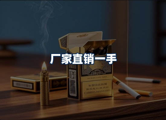 专业团队办公环境
